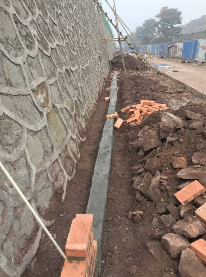 瀘州園林綠化苗木.png 瀘州園林綠化苗木.png