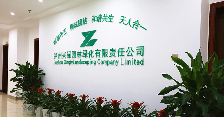 公司簡介.jpg 瀘州園林.jpg