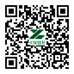 公眾號.jpg 微信平臺二維碼.jpg