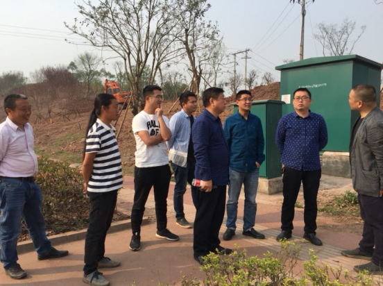 瀘州綠化提升工程 瀘州綠化提升工程