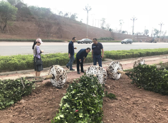 瀘州園林公司服務.png 瀘州園林公司服務.png