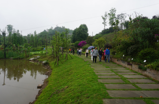 瀘州園林建設機構(gòu).png 瀘州園林建設機構(gòu).png