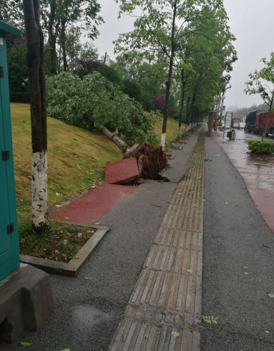 瀘州城市園林設(shè)計 瀘州城市園林設(shè)計