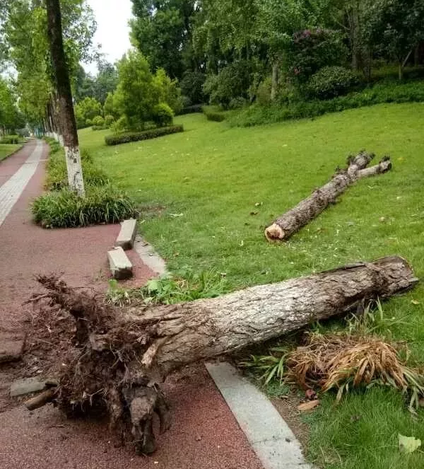 瀘州園林工程 瀘州園林工程