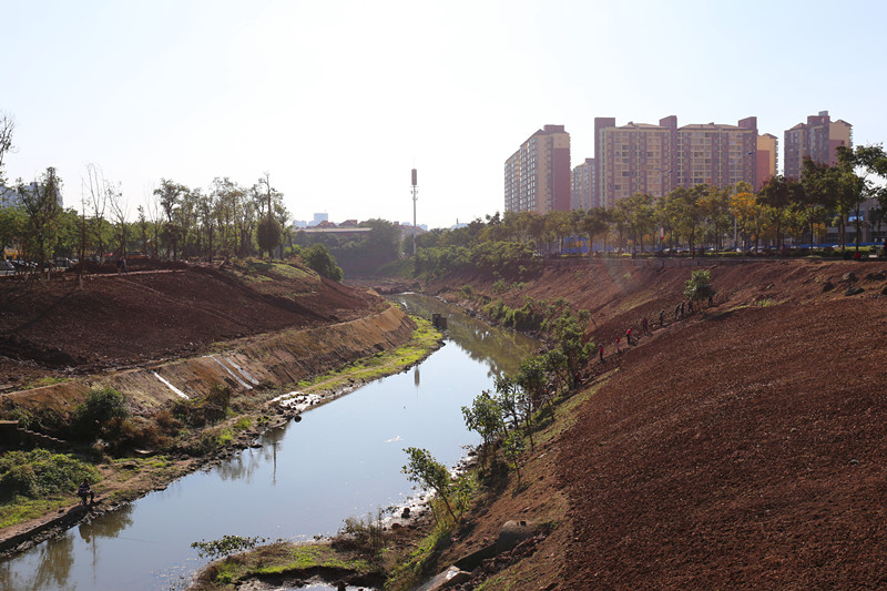 瀘州綠化提升工程.jpg 瀘州綠化提升工程.jpg