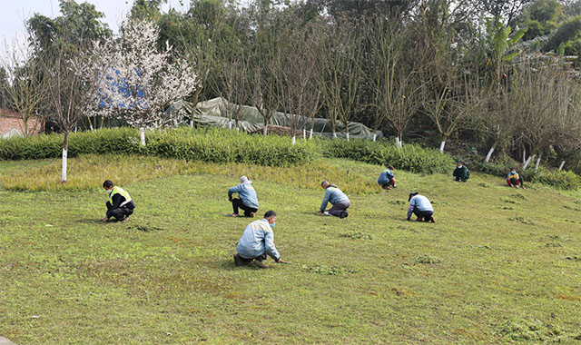 瀘州園林.png 9901.jpg