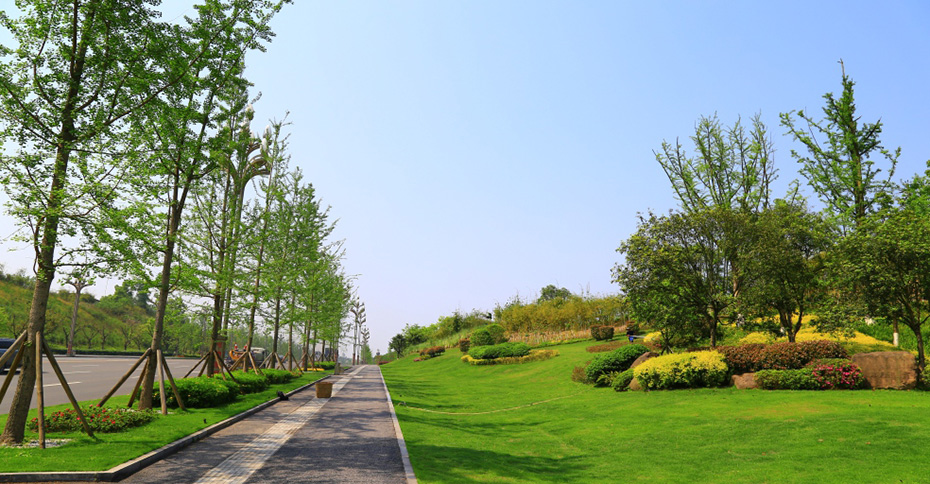 園林綠化的養(yǎng)護(hù) 園林綠化的養(yǎng)護(hù)