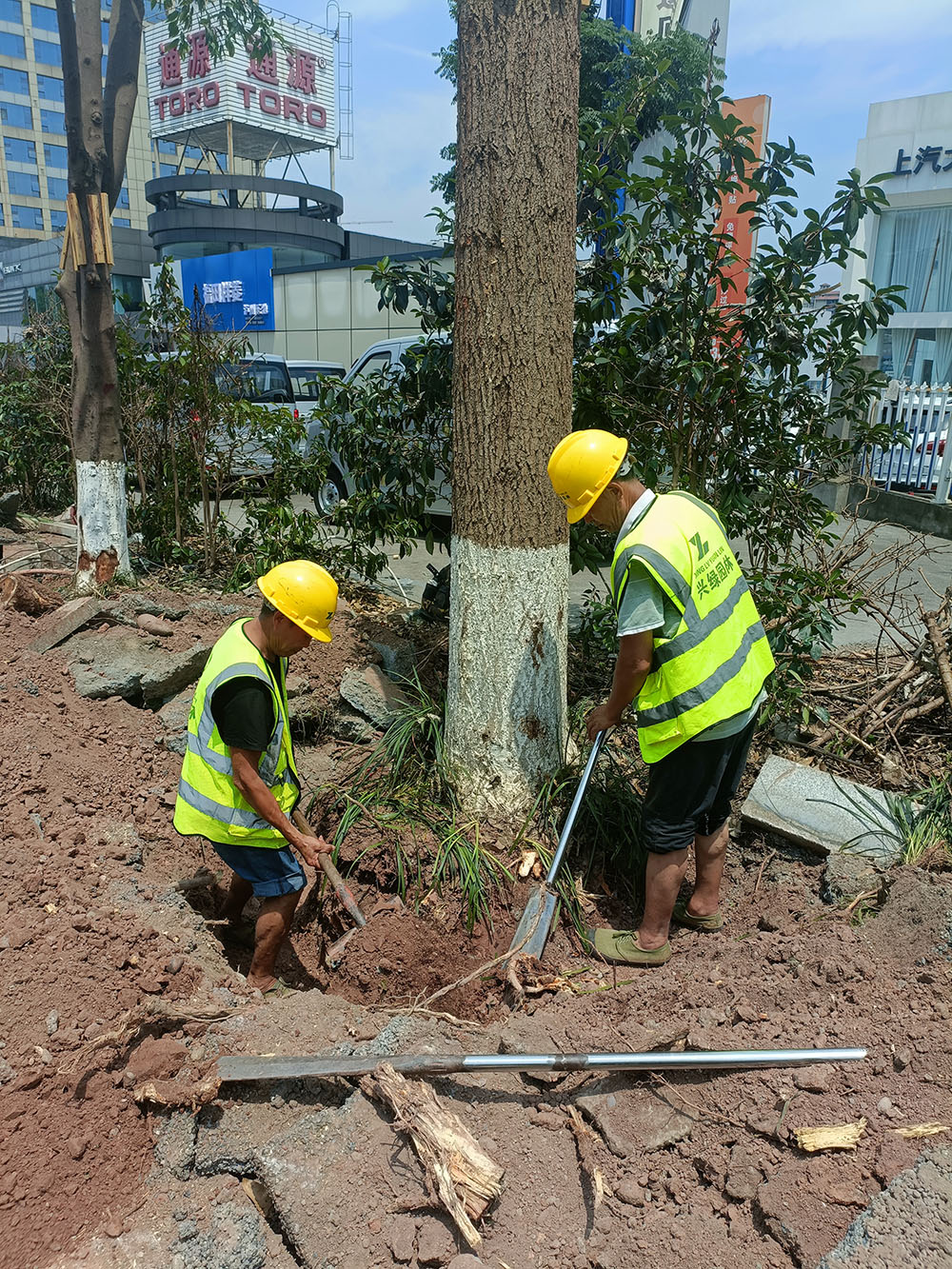 1718070909981441.jpg 1718070909981441.jpg