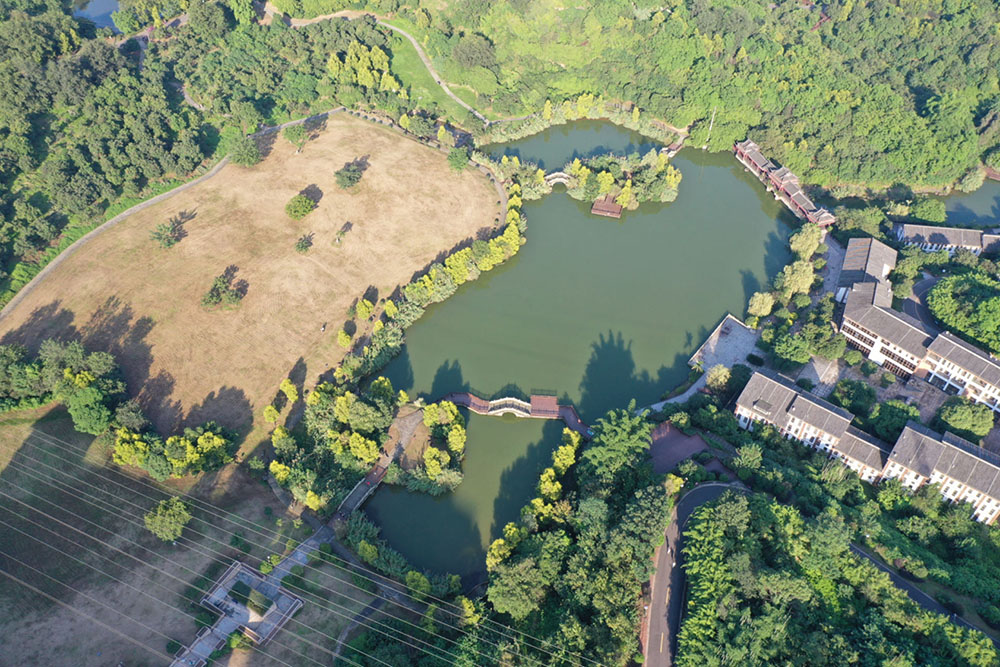 1719454446221325.jpg 1719454446221325.jpg