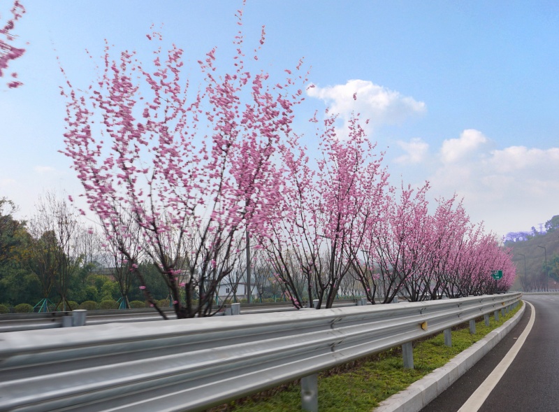 1720574145134092.jpg 微信圖片_20240305162835.jpg