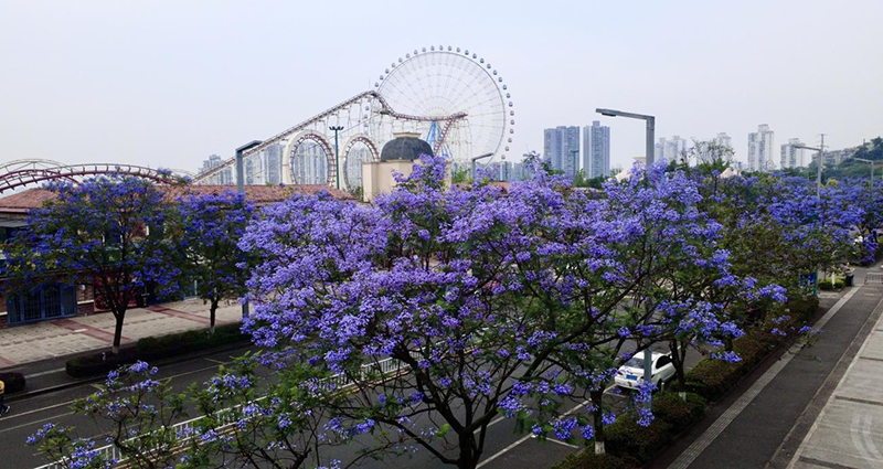 1747906956448248.png 1747906956448248.png