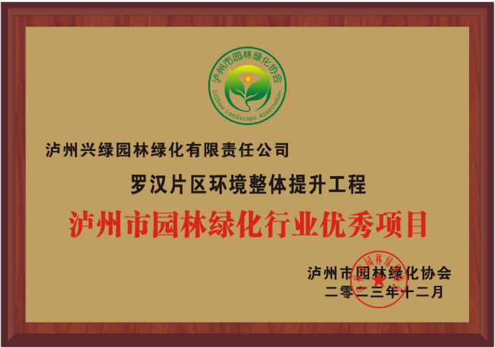 羅漢片區(qū)環(huán)境整體提升工程優(yōu)秀項目.png