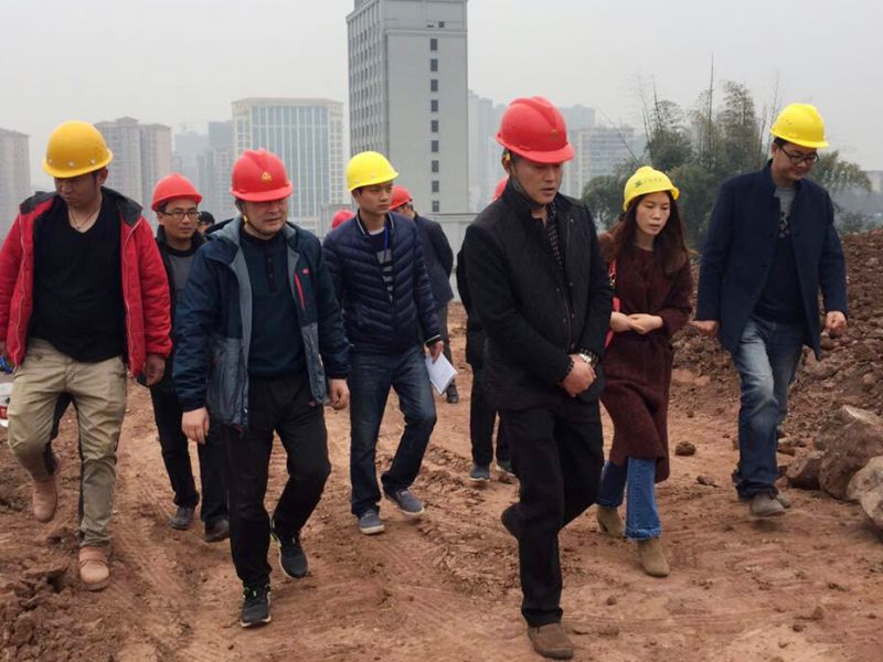 劉常委調(diào)研市民中心廣場項目建設