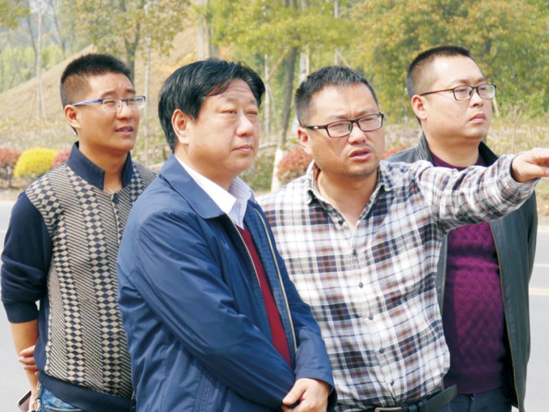 文聯(lián)主席虞潛指導納溪區(qū)城市道路景觀品質(zhì)提升工程