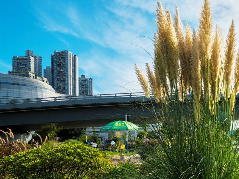 沱江二橋加寬改造工程附屬景觀建設(shè)項(xiàng)目