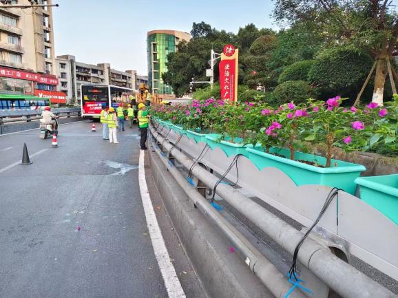 花映兩橋·綠滿(mǎn)酒城—興綠園林公司實(shí)施沱江一橋、連心橋景觀(guān)升級(jí)工程   